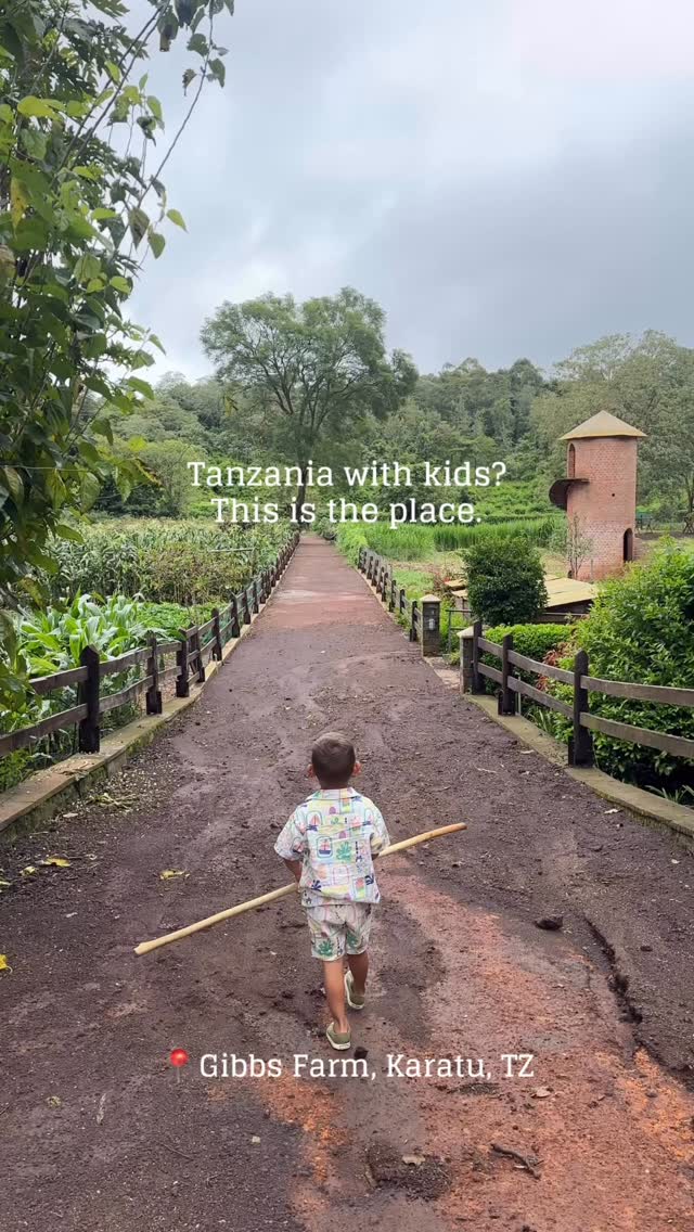 tiklocker_Video by gibbs_farm.mp4