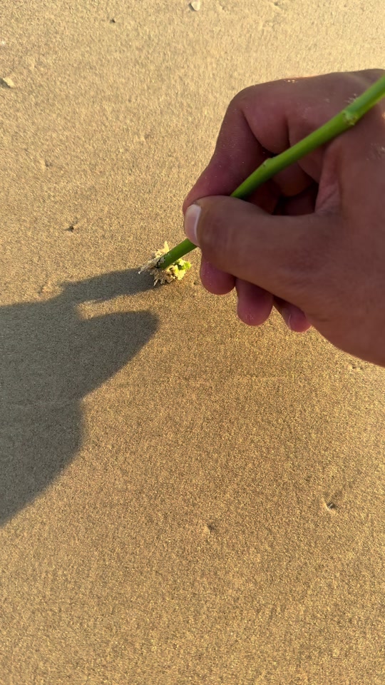 tiklocker_TikTok video #7530753280075386134.mp4