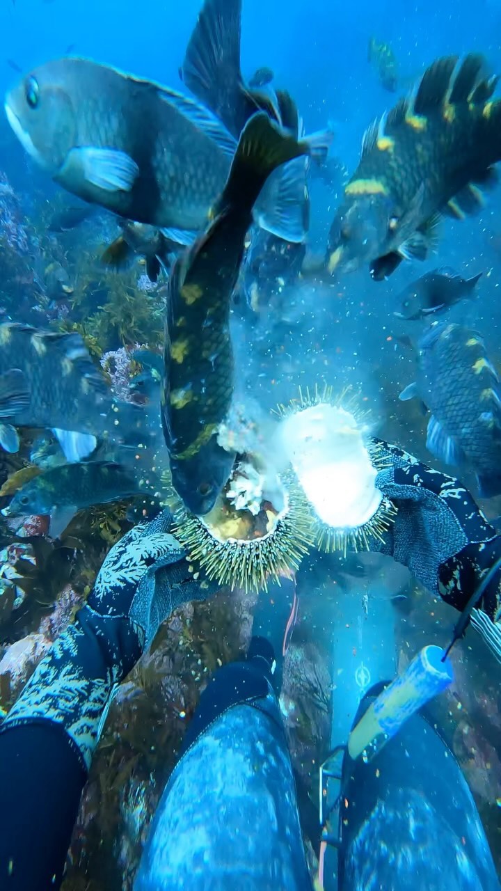 tiklocker_Video by corokinaboys.mp4