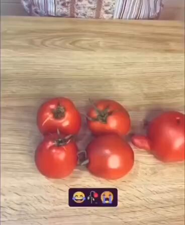 tiklocker_brainrot dimension - httpst.cooiB59TIzam.mp4